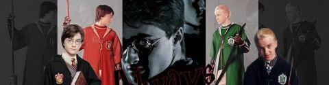 Harry Potter dans l'ordre de mes préférences