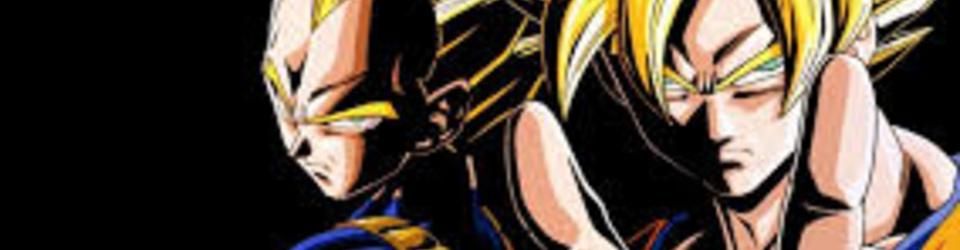 Cover Top 5 DBZ sur PS2