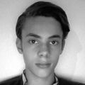 Theo Piens