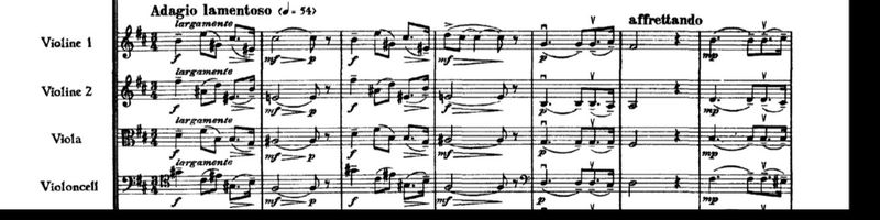 Bannière de Salyanov5