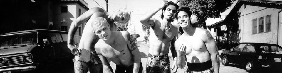Cover Les meilleurs morceaux des Red Hot Chili Peppers