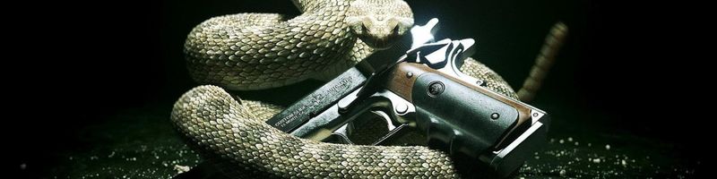 Bannière de lechatvoyeur