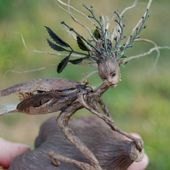 LecteurF