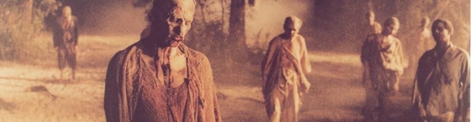 Cover Films de zombies et/ou d'infectés