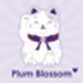 Plum_Blossom_梅