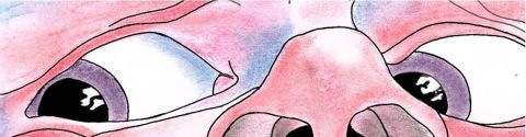 Les meilleurs albums de King Crimson