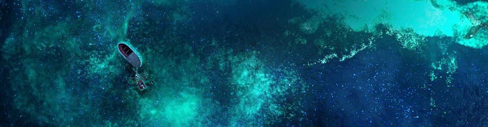 Cover Films vus en 2013