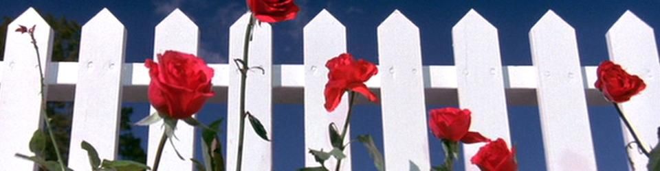 Cover On dit merci la BU