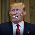 Donald_Dumb