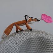 AmarantusAliceacus