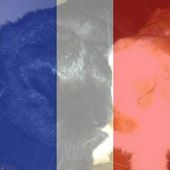 AymericGeoffroy
