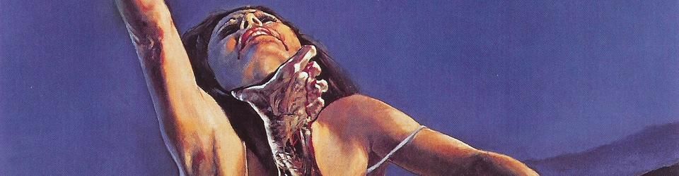 Cover 45 belles affiches du cinéma d'horreur des années 80