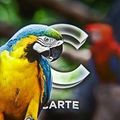 Carte Hel Munster