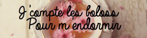 Top 10 Livres