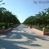 جوادبوشيبة