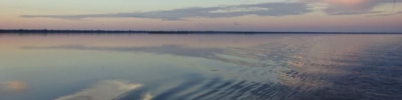 Bannière de Laura Bensoussan