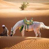 SakinaAl_Ghazali