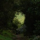 CatherineCaythe