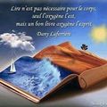 Laurence Lamy