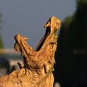 Philippe-LouisNahon
