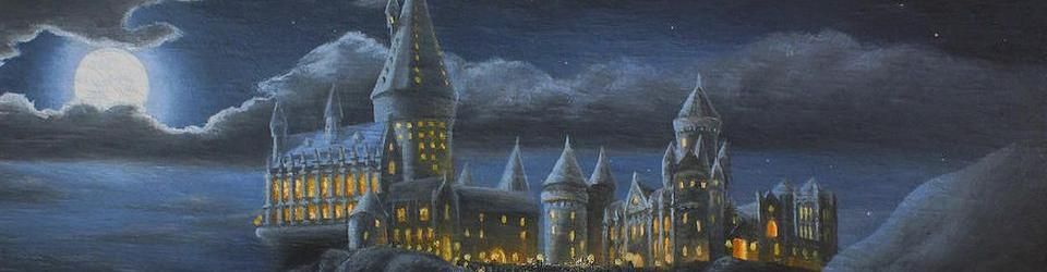 Cover [Liste participative] ~ Votre tout premier souvenir en rapport avec Harry Potter?