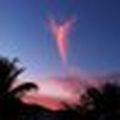 Annick_Ferrant
