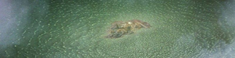 Bannière de Iskandar