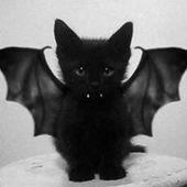Arianed_Aulbe