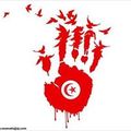 Salam Tounis