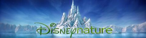 Les documentaires animaliers Disneynature