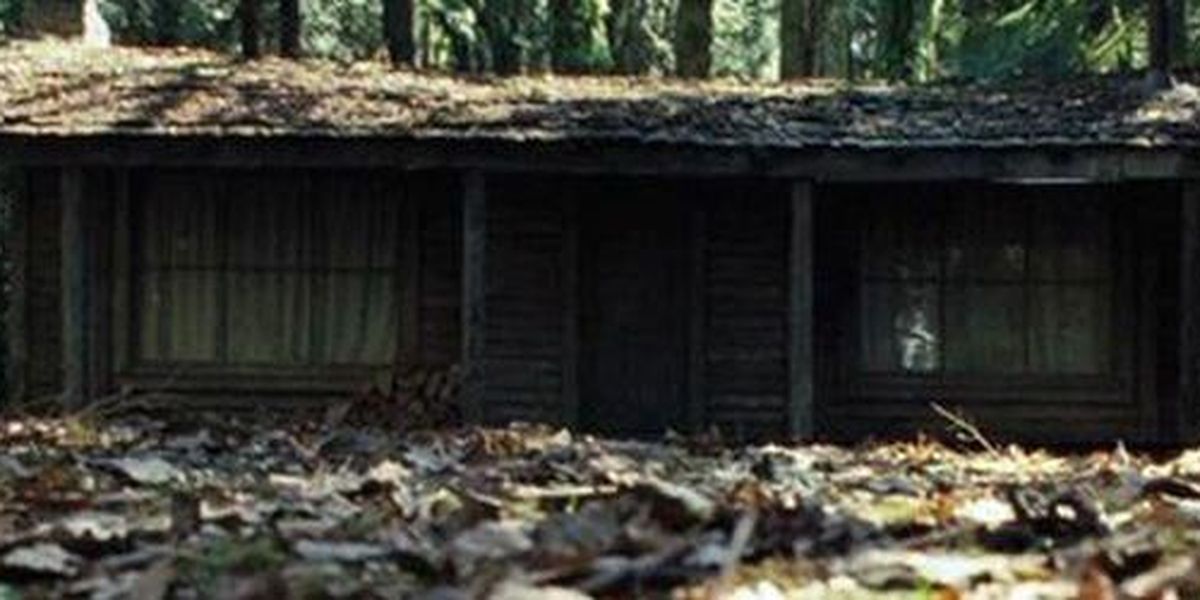 Le classique de la cabane au millieu des bois dans les films d
