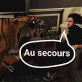 GuillaumePetit4