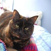 Dominique-HeleneSans