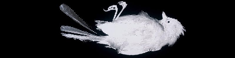 Bannière de Rock'n Rol