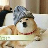 Jean-KévinDelatronch