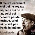 Oum Ya
