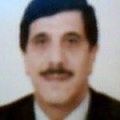 Mohamed Houcine Baouendi