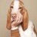 Patrick_Lunaire