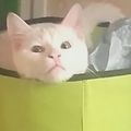 AnnabelleYellowhand