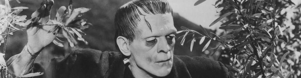 Cover Frankenstein à l'écran