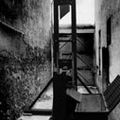 Tom Newtown