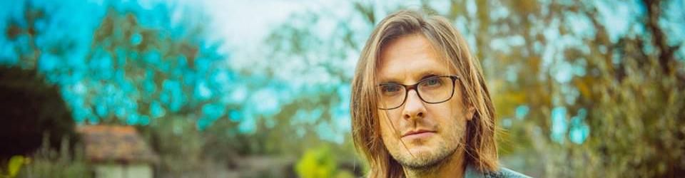 Cover Steven Wilson: le bilan