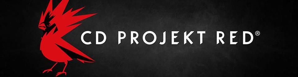 Cover L'évolution de CD Projekt