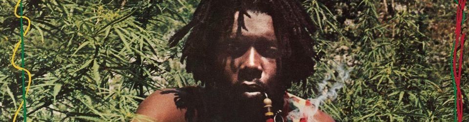Cover Les meilleurs albums de reggae