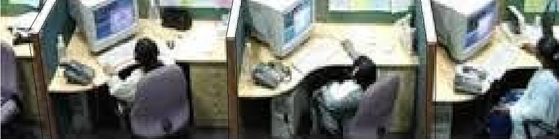 Bannière de LULU BEANS