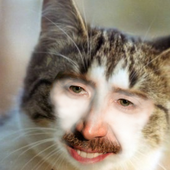 Robinson_Bienf