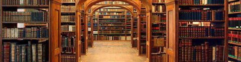 La bibliothèque de Gondebaud·e