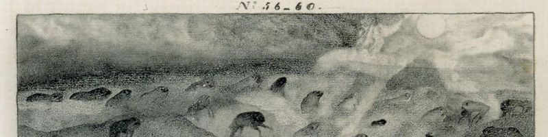 Bannière de cléo57