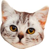Clemboly