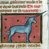 ManonLoup